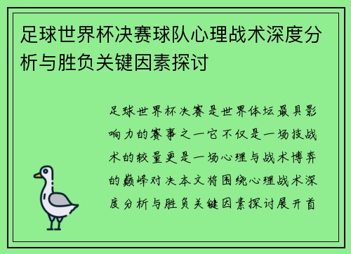 足球世界杯决赛球队心理战术深度分析与胜负关键因素探讨